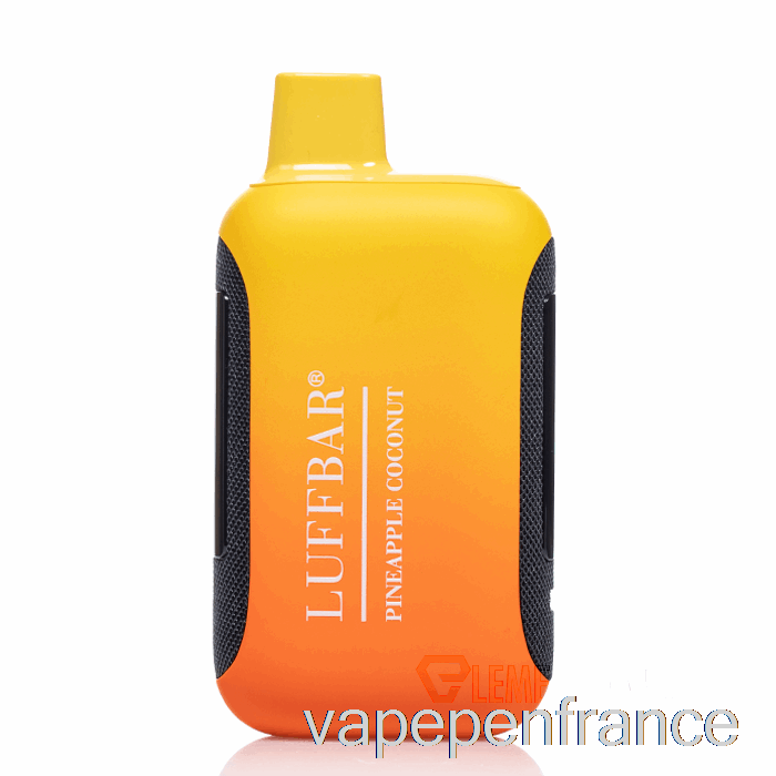 Luffbar Dually 20000 Stylo Jetable à Vape à L'ananas Et à La Noix De Coco